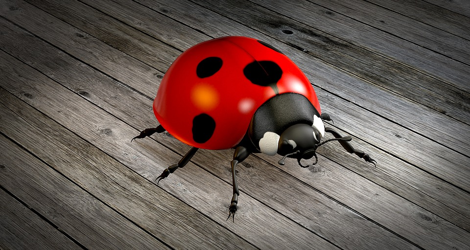 animation for user interface